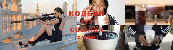 прущие грибы Краснотурьинск