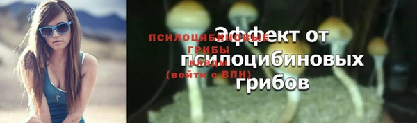 гидропоника Кукмор
