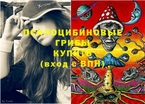 метадон Краснослободск